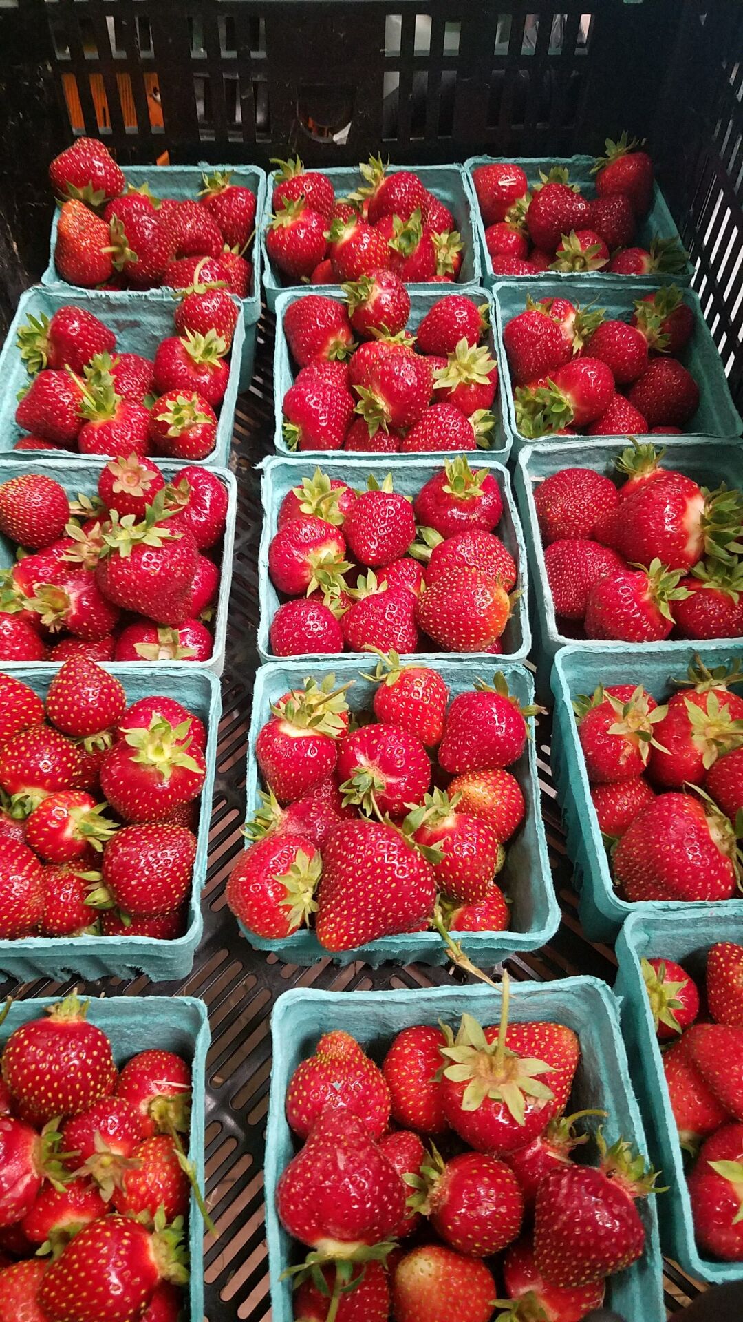 20170621_144534.jpg